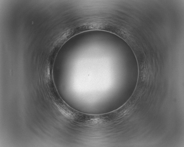 X0000057100310200509091210