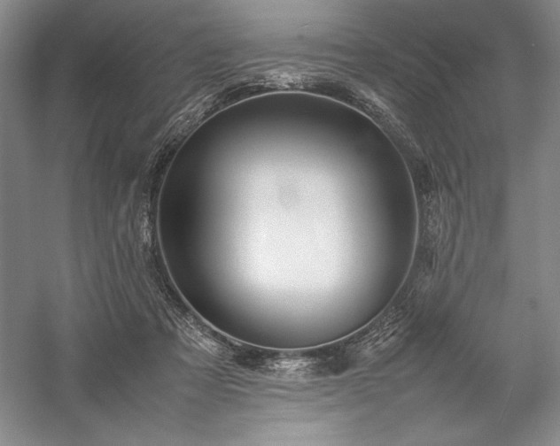 X0000057100313200509091210