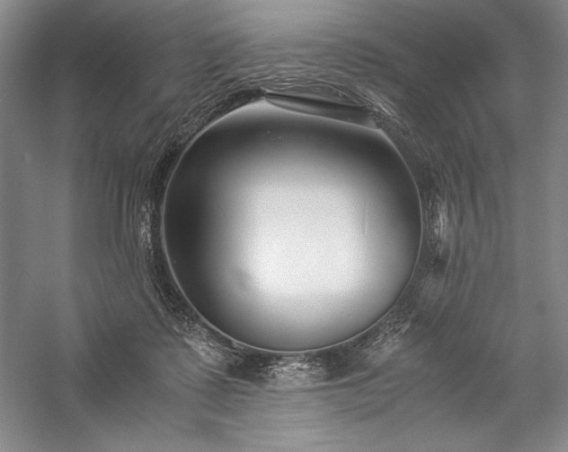 X0000057100315200509091210