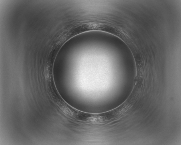 X0000057100317200509091210