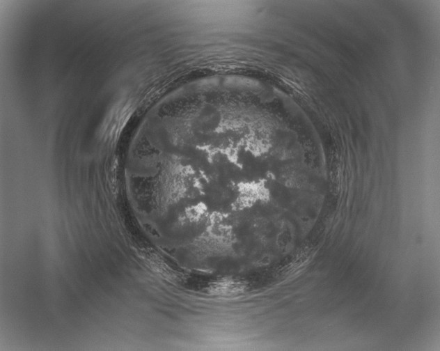 X0000057100319200509091210