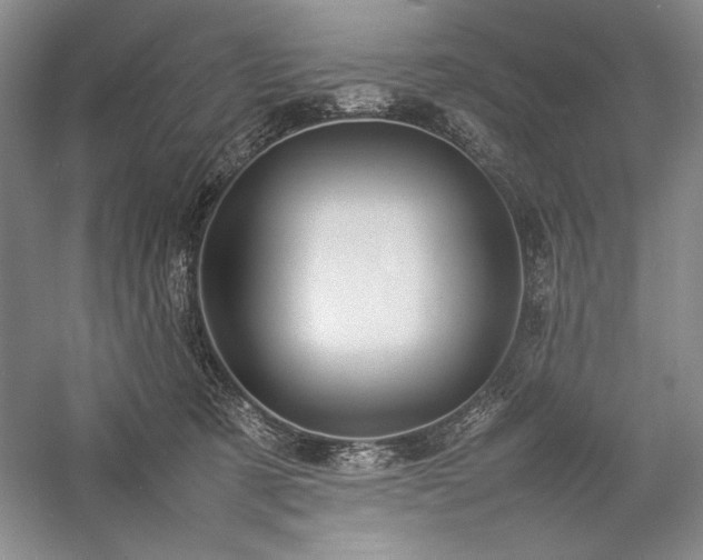 X0000057100321200509091210