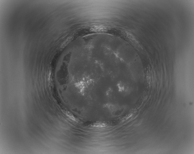 X0000057100322200509091210