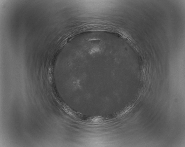 X0000057100325200509091210