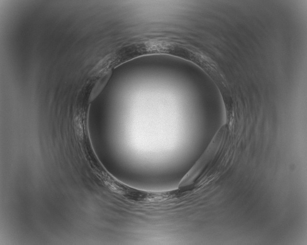 X0000057100329200509091210