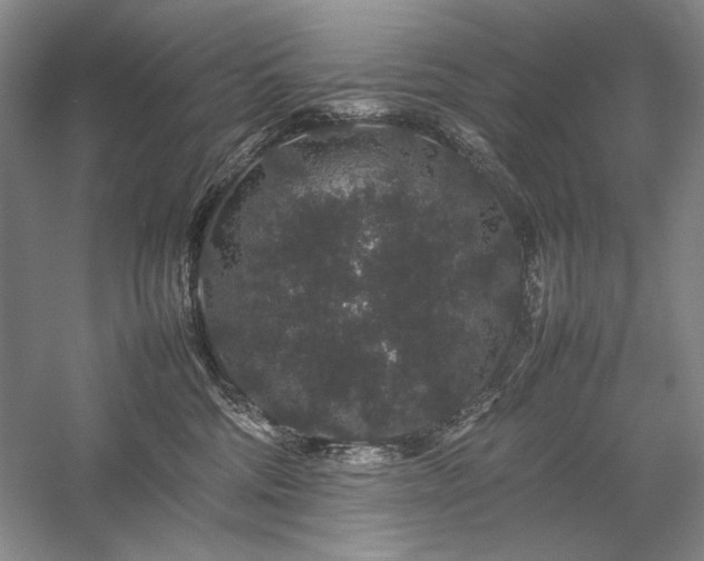 X0000057100330200509091210