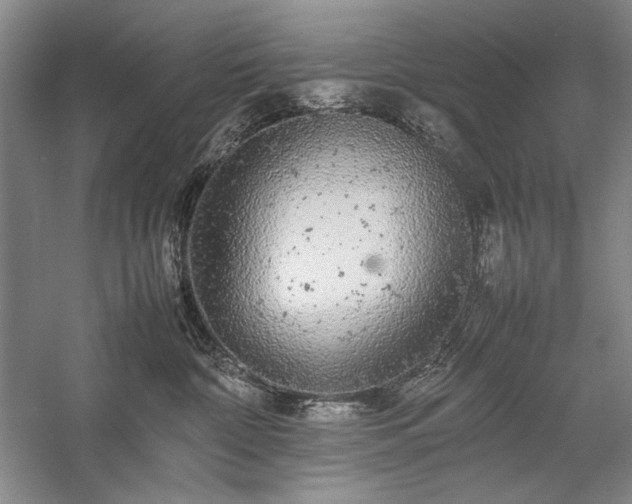 X0000057100332200509091210