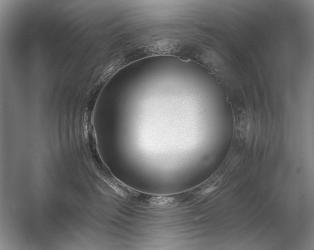 X0000057100334200509091210