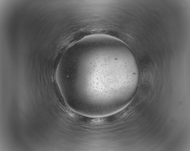 X0000057100335200509091210