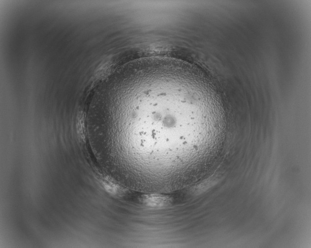 X0000057100336200509091210