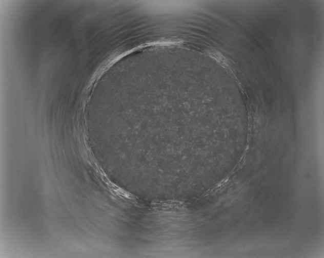 X0000057100337200509091209