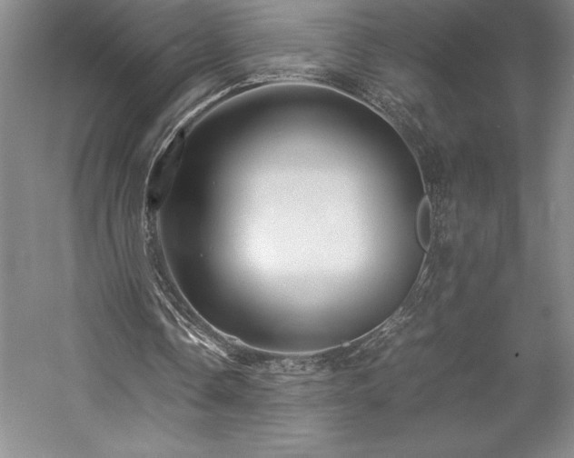 X0000057100338200509091209