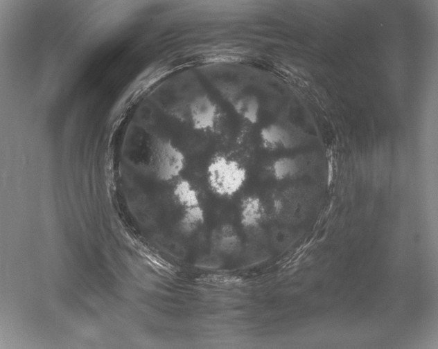 X0000057100339200509091209