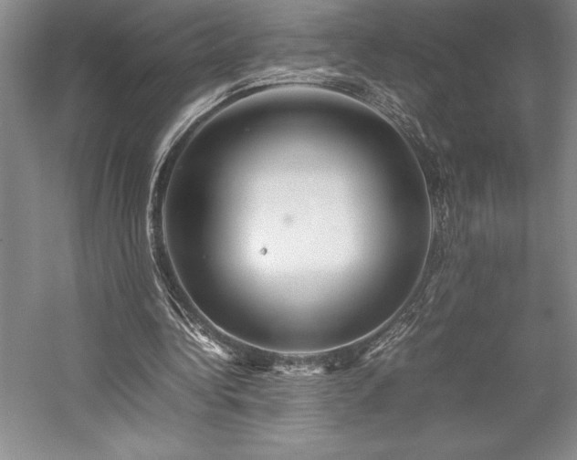 X0000057100340200509091209