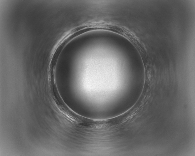 X0000057100344200509091209