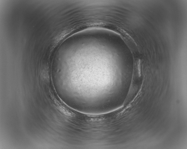 X0000057100345200509091209