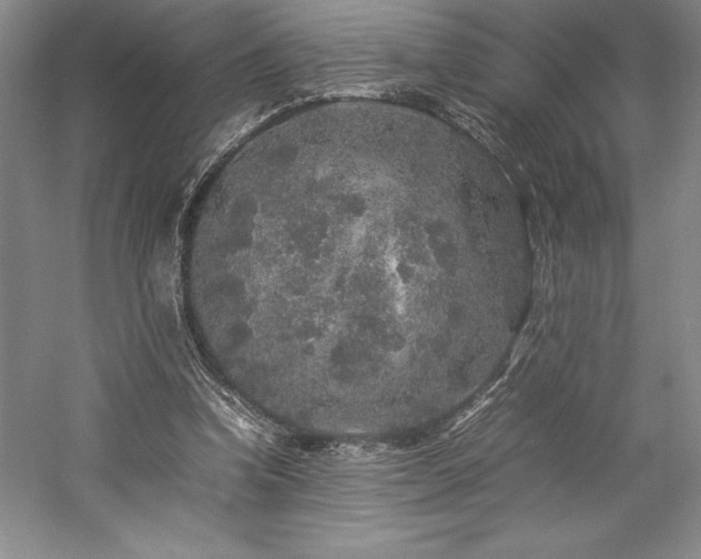 X0000057100346200509091209