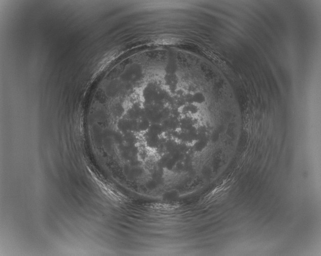 X0000057100347200509091209