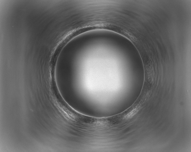 X0000057100350200509091209