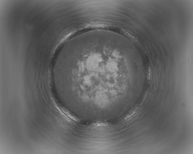 X0000057100352200509091209