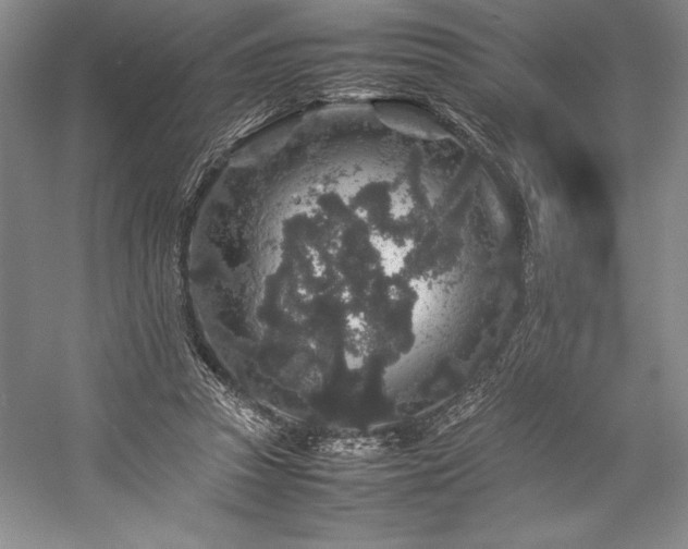 X0000057100353200509091209