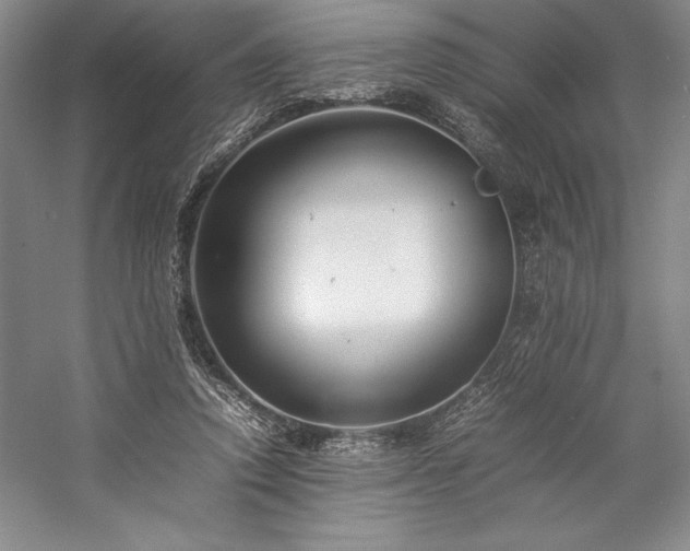 X0000057100354200509091209