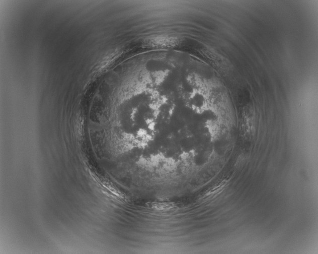 X0000057100355200509091209