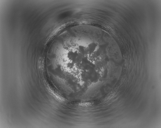 X0000057100357200509091209