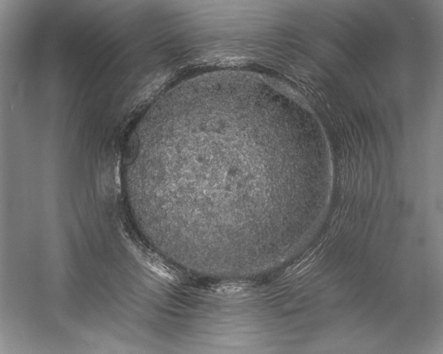 X0000057100358200509091209