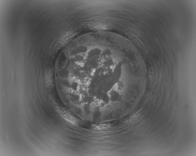 X0000057100359200509091209