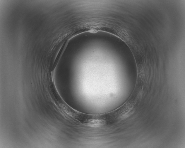 X0000057100360200509091209