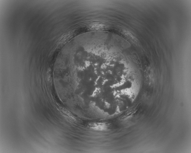 X0000057100361200509091209