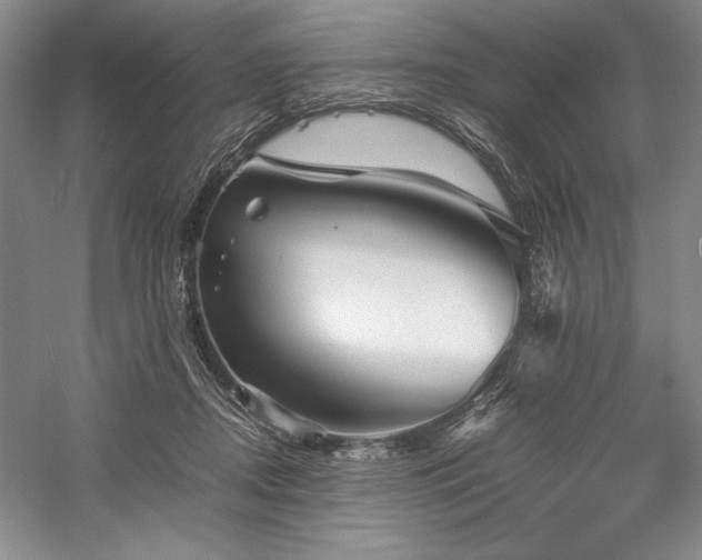 X0000057100362200509091210