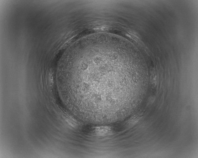 X0000057100363200509091210