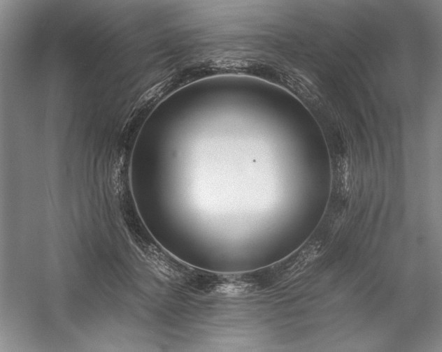 X0000057100364200509091210