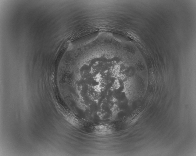 X0000057100365200509091210