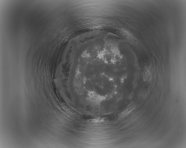 X0000057100366200509091210