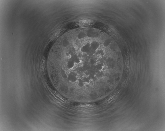 X0000057100367200509091210