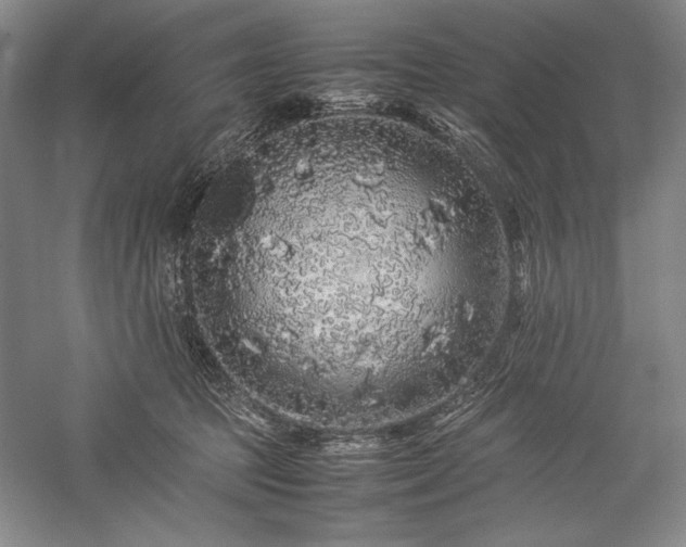 X0000057100369200509091210