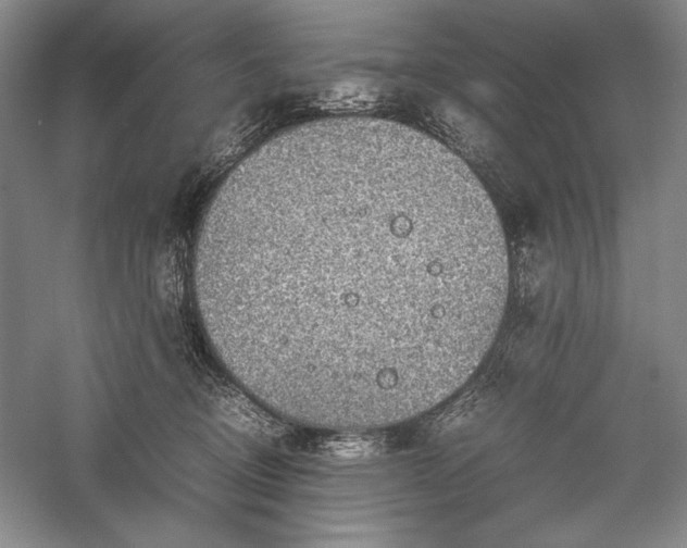 X0000057100370200509091210