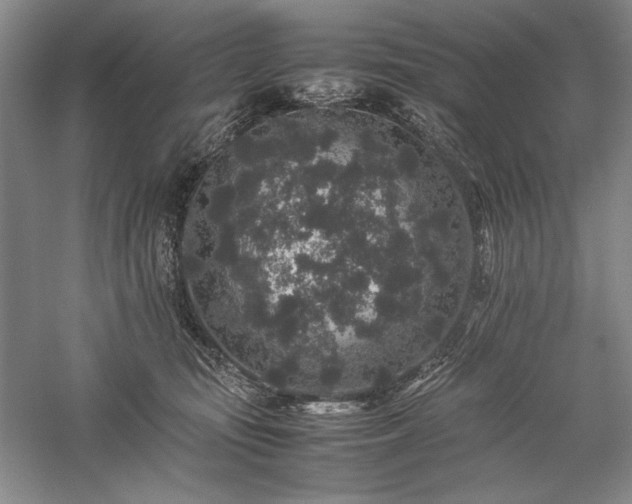 X0000057100371200509091210