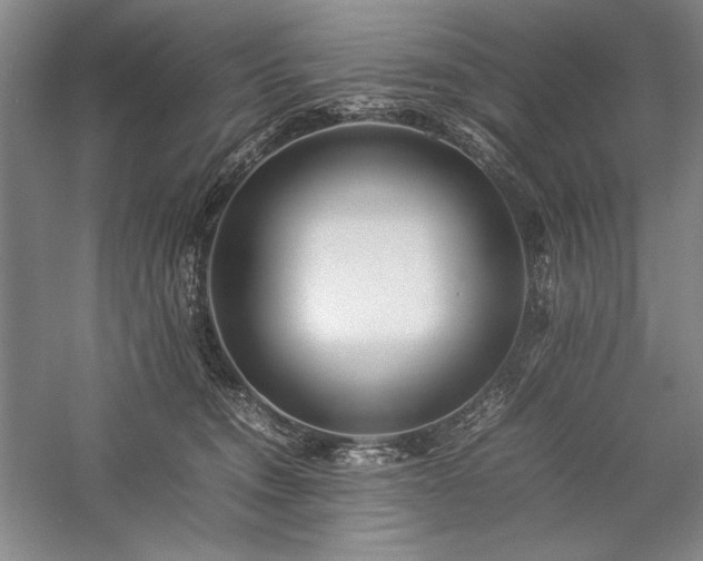 X0000057100372200509091210