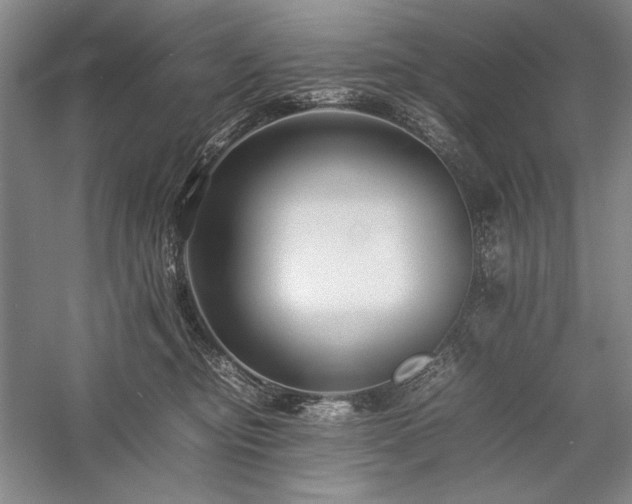 X0000057100374200509091210