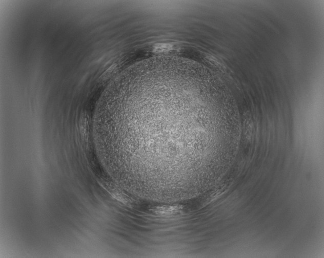 X0000057100375200509091210