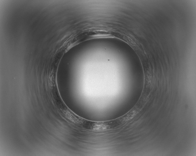 X0000057100376200509091210