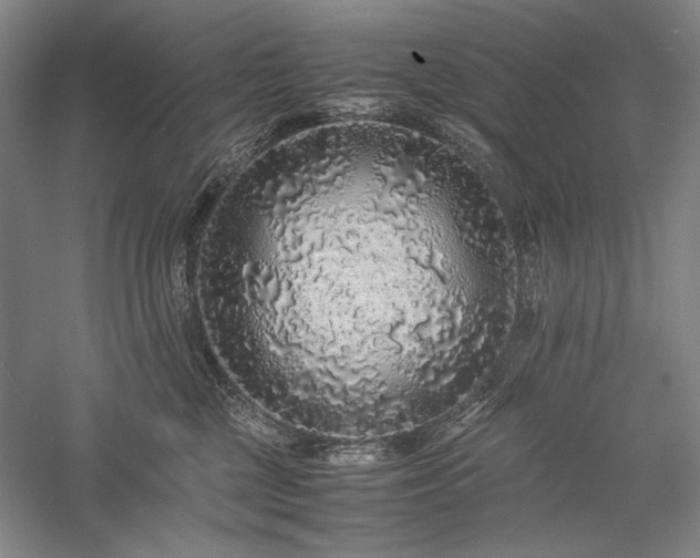 X0000057100377200509091210