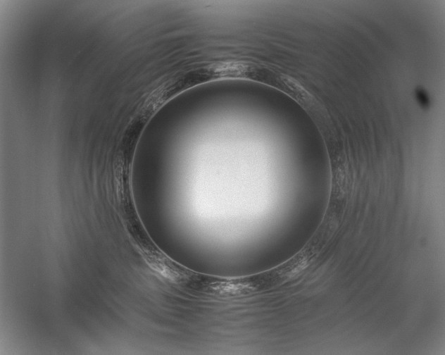 X0000057100379200509091210