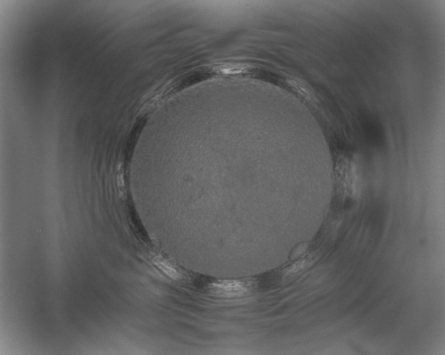 X0000057100381200509091210