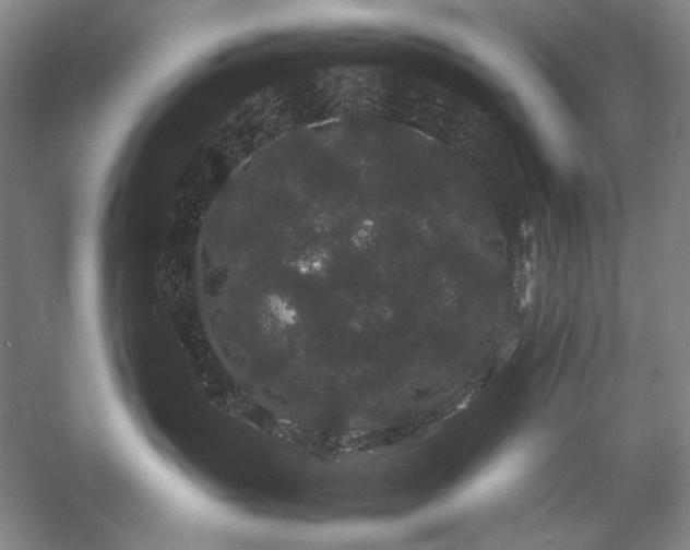 X0000057100383200509091210