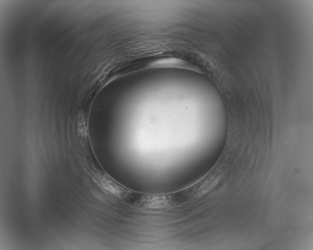 X0000057100384200509091210